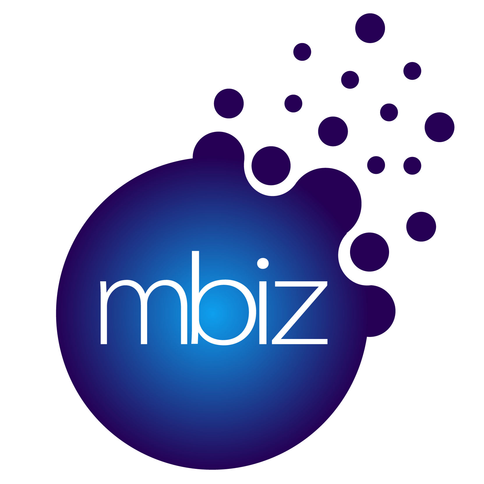 MAIN2BIZ CONSULTING